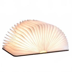 NEW GINGKO DESIGN natural wood smart book light in maple